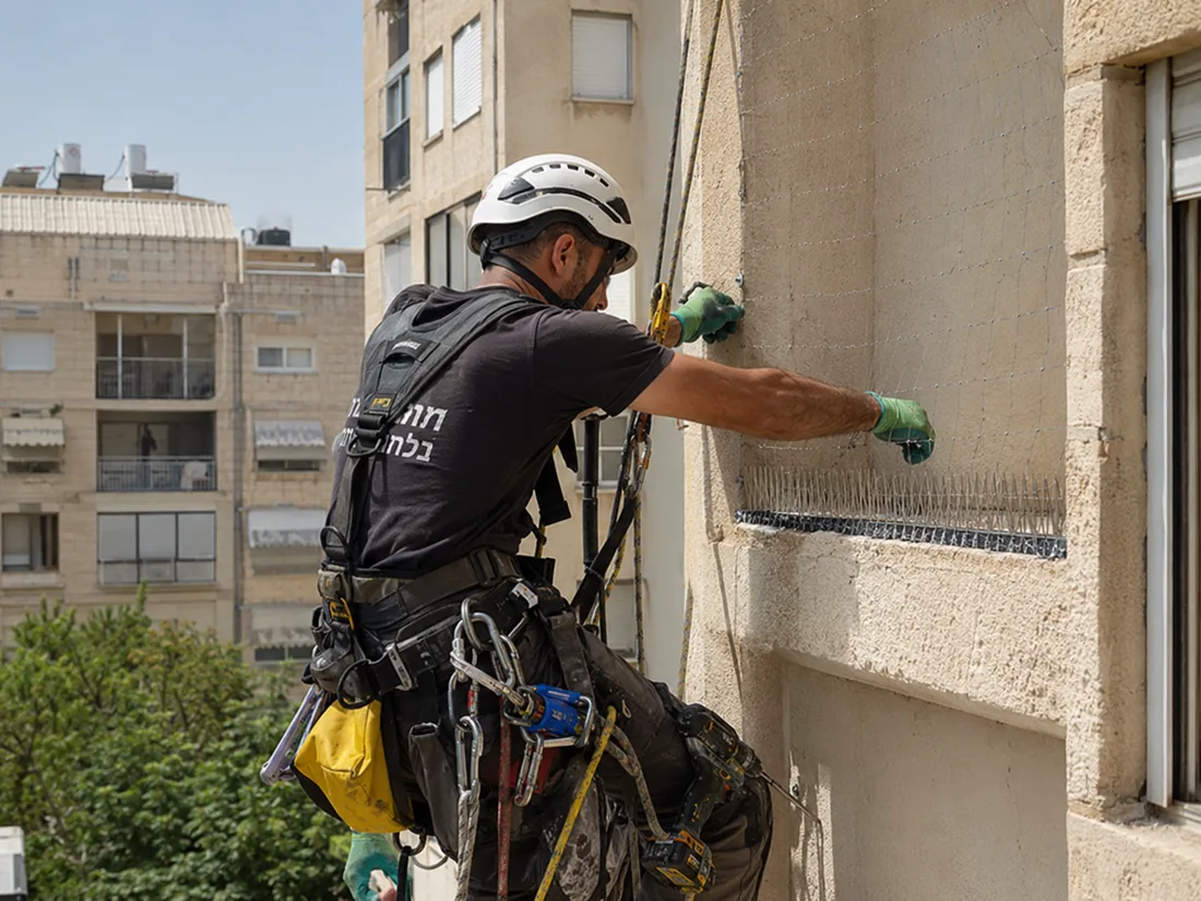 פתרון להרחקת יונים בגובה